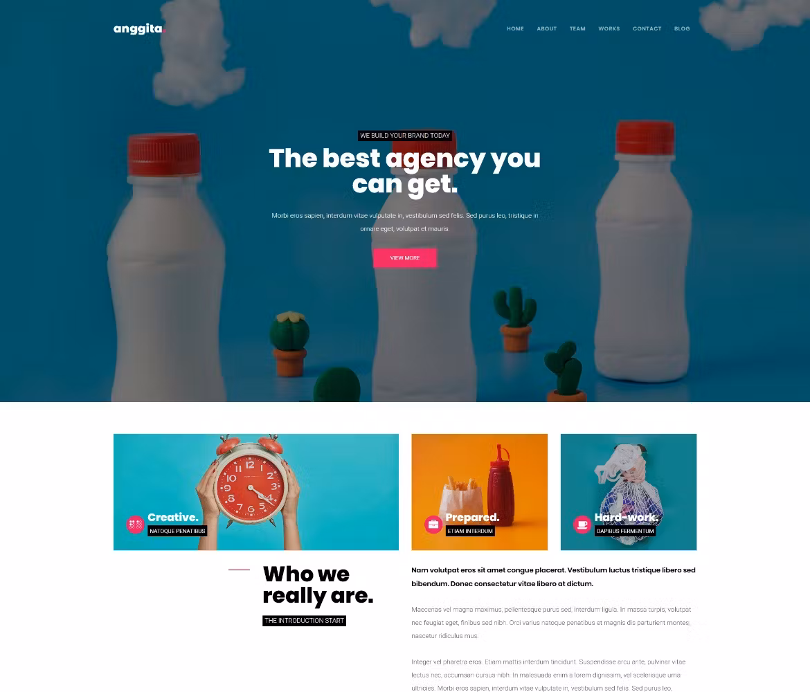 Anggita - One Page Portfolio Theme